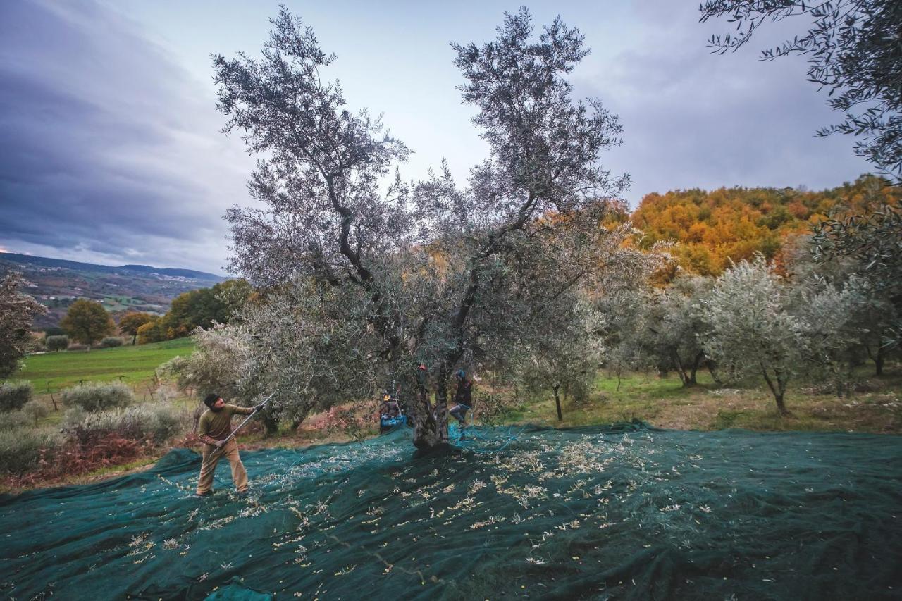 Agriturismo Bellofatto Torella dei Lombardi Exteriör bild
